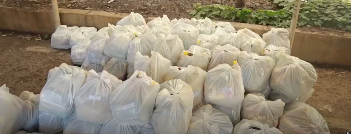 حملة “من القلب إلى القلب”